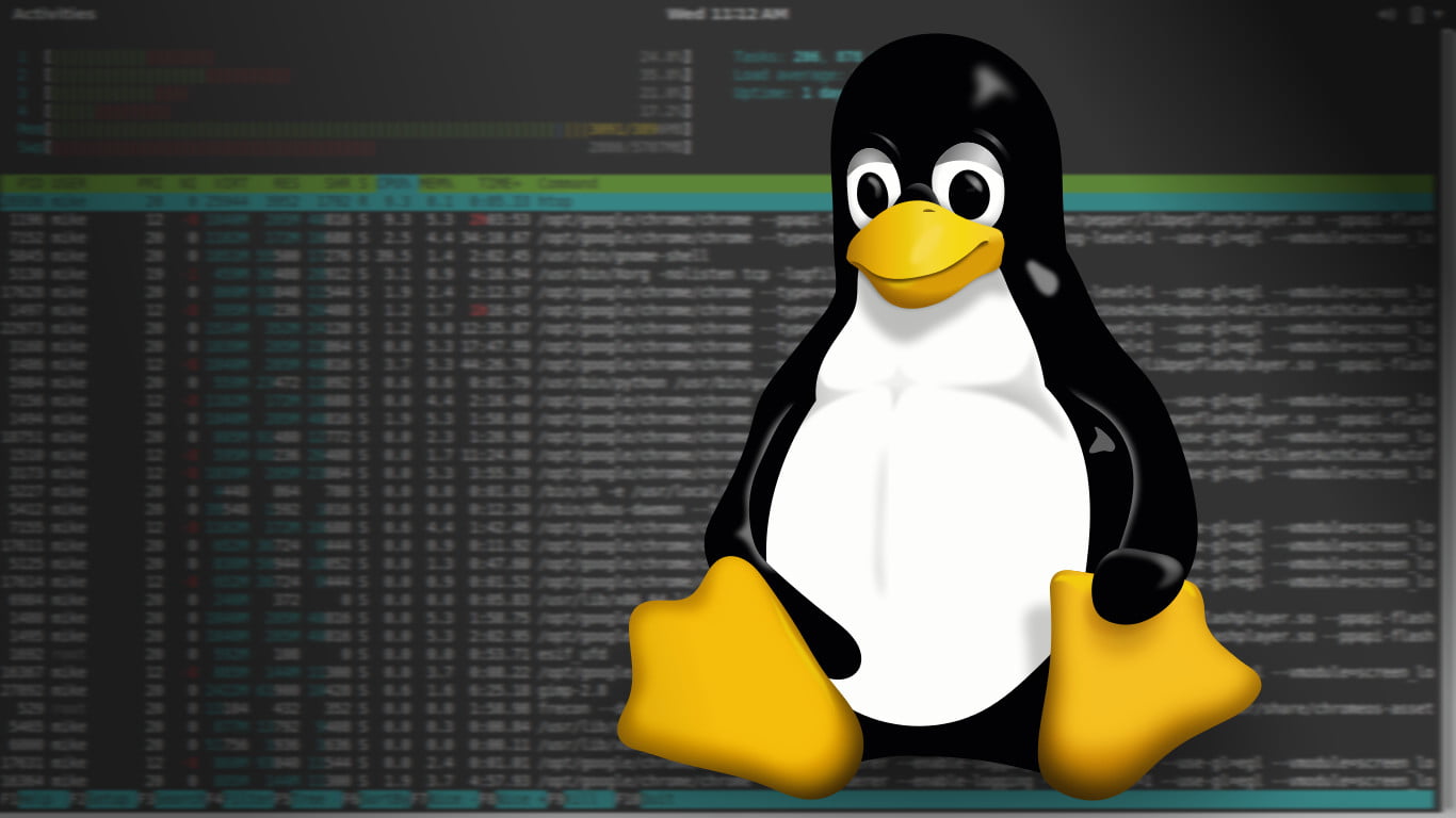 Базовые Linux-команды для новичков