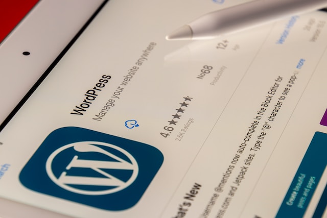 Особенности CMS WordPress: Ответы на вопросы пользователей