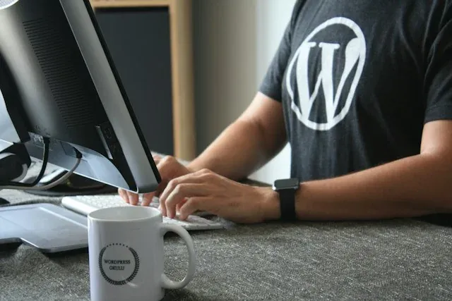 Особенности CMS WordPress: Ответы на вопросы пользователей